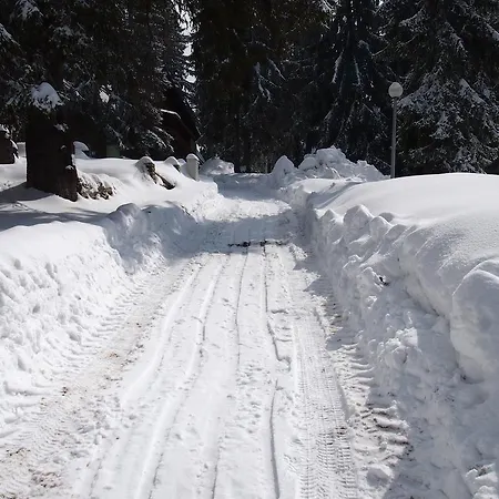 Vakantiehuis Tirol Vlasic