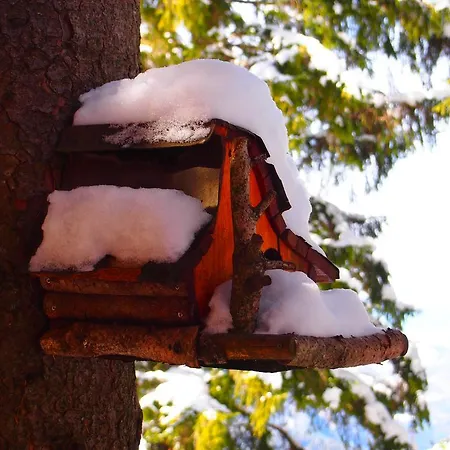 Semesterbostad Tirol