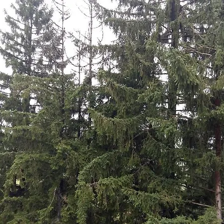 Tirol * Vlasic