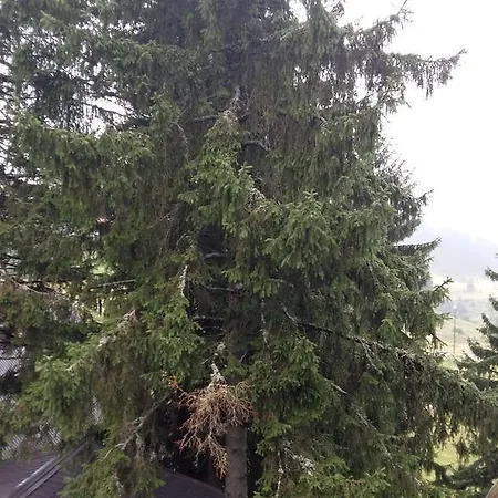 Semesterbostad Tirol